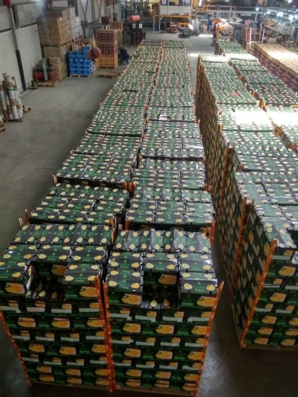 ⁦الدول المصدر لها منتجاتنا⁩ - الصورة ⁦11⁩