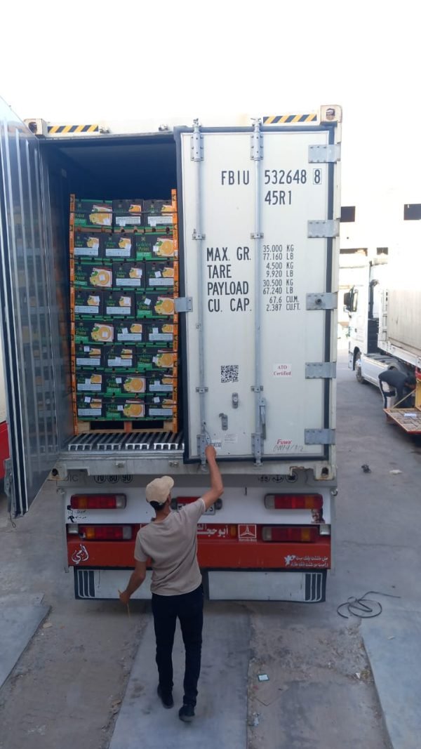 ⁦الدول المصدر لها منتجاتنا⁩ - الصورة ⁦2⁩