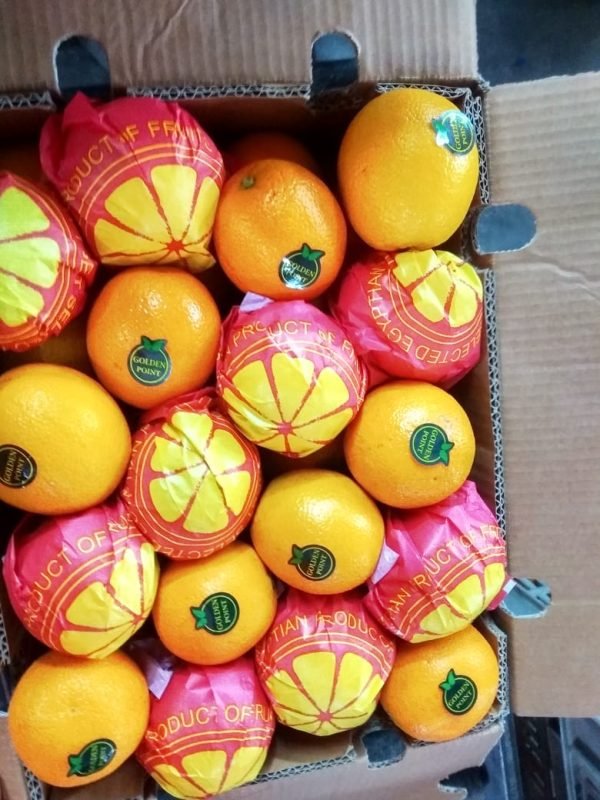 ⁦الدول المصدر لها منتجاتنا⁩ - الصورة ⁦13⁩