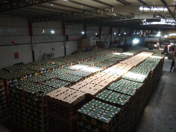 ⁦الدول المصدر لها منتجاتنا⁩ - الصورة ⁦10⁩