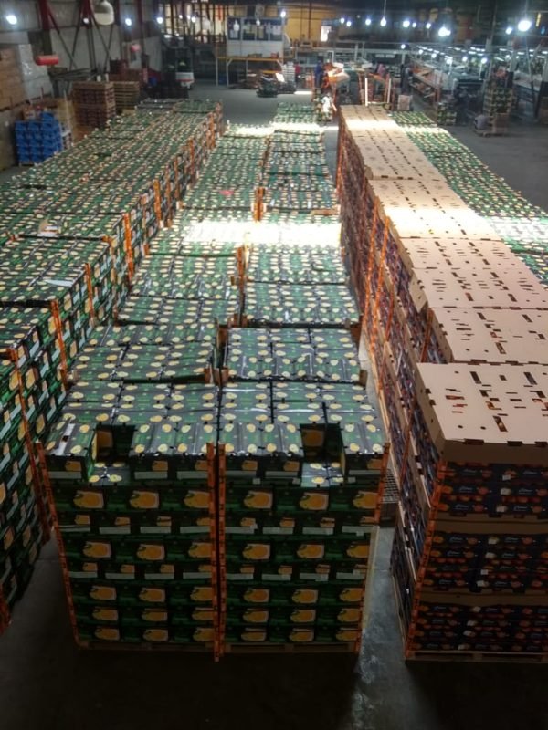 ⁦الدول المصدر لها منتجاتنا⁩ - الصورة ⁦12⁩