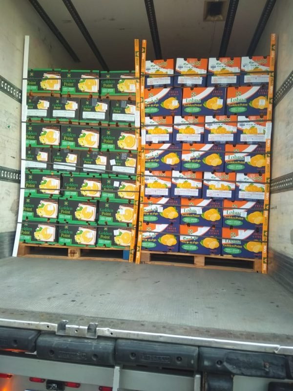 ⁦الدول المصدر لها منتجاتنا⁩ - الصورة ⁦4⁩