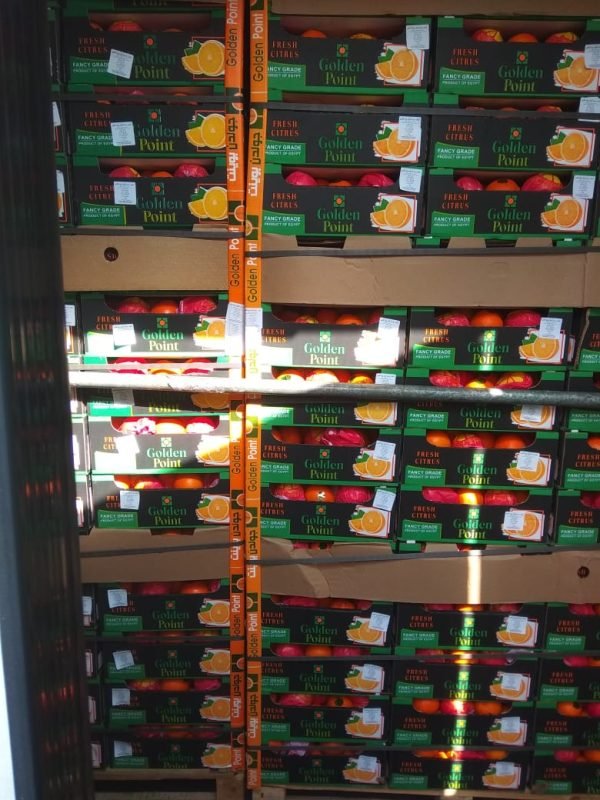 ⁦الدول المصدر لها منتجاتنا⁩ - الصورة ⁦5⁩