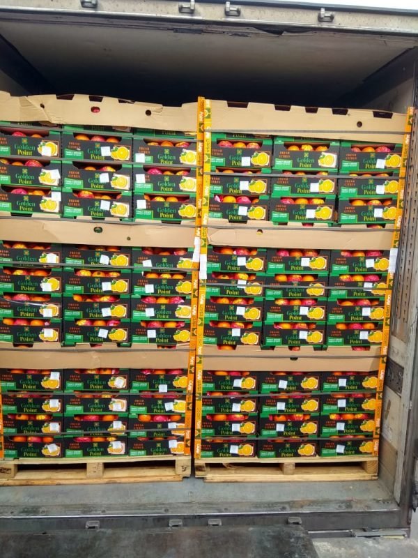 ⁦الدول المصدر لها منتجاتنا⁩ - الصورة ⁦6⁩