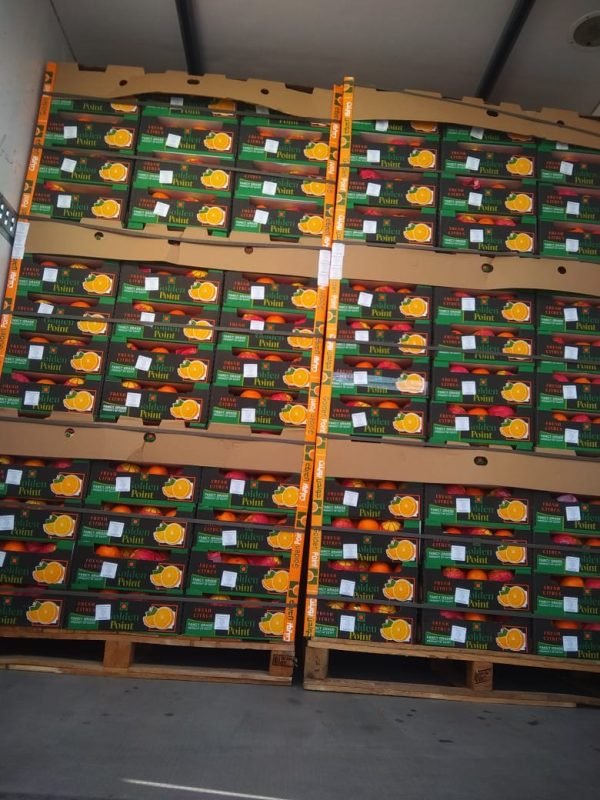 ⁦الدول المصدر لها منتجاتنا⁩ - الصورة ⁦7⁩